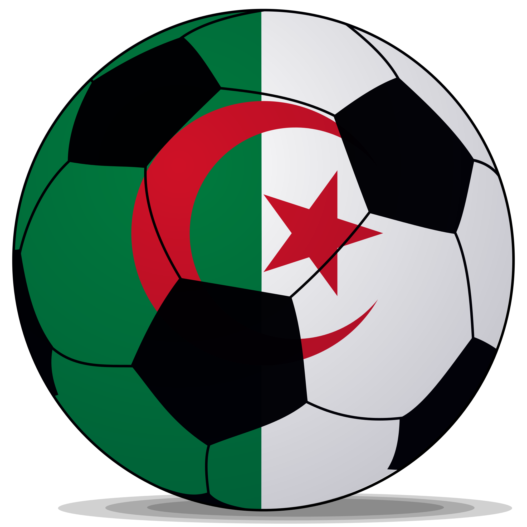 Algeria soccer