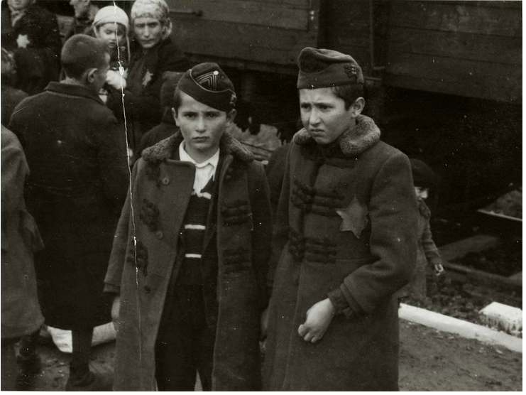 Sril and Zelig Jacob